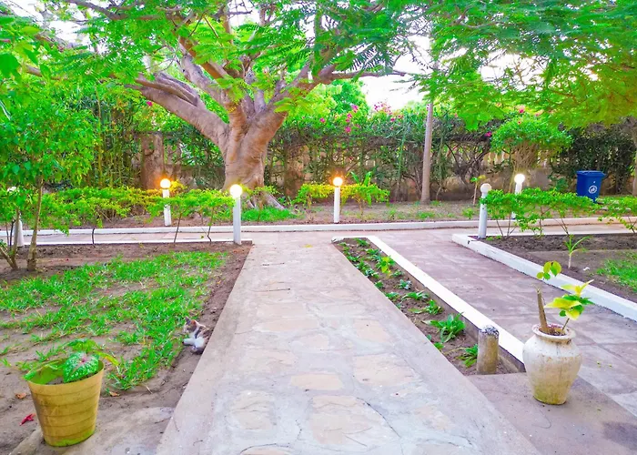 Maasai Resort