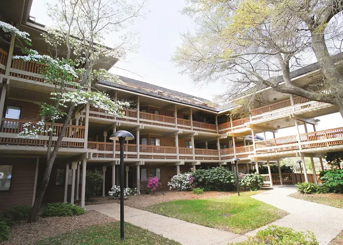 Ping pong hotels Kingston Plantation Condos