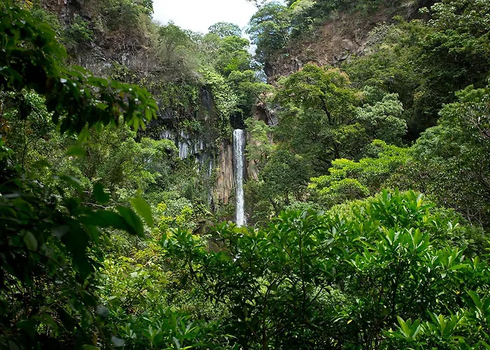 Beach hotel: Buena Vista Del Rincon Eco Adventure Park Hotel & Spa