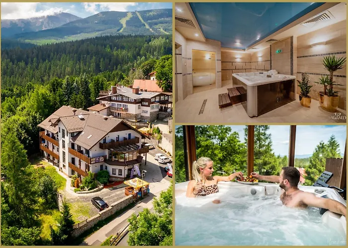  Karpacki & Spa - Blisko Wyciagu, Restauracja, Sala Zabaw, Bar 24H (Adults Only)