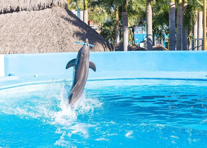 Waterpark hotels Splash Inn Nuevo Vallarta & Parque Acuatico