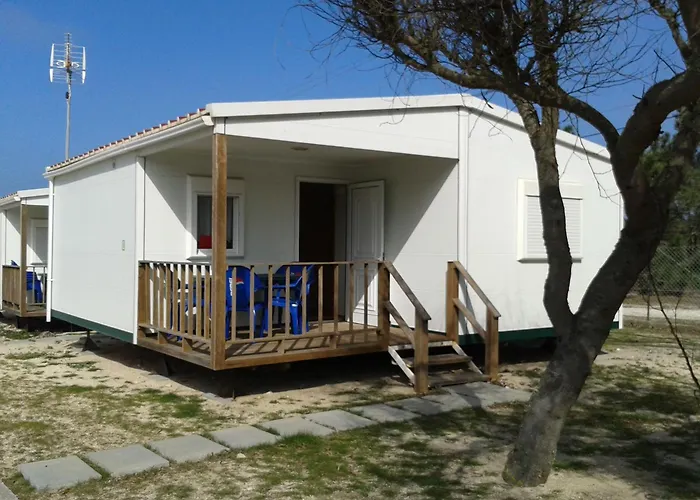 Hotel que aceita animais de estimação: Sao Pedro De Moel By Campigir