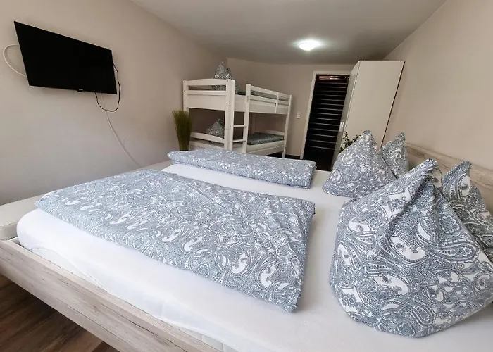  SAV