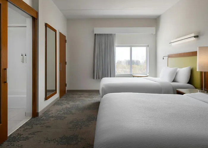Springhill Suites By Marriott Charleston Mount Pleasant