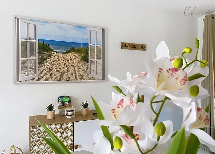 Maison Douceurs d'Été  Maison de vacances bord de mer à Vias plage - 600m de la plage et du Canal du Midi - Piscine résidentielle, wifi fibre, Activités et Loisirs
