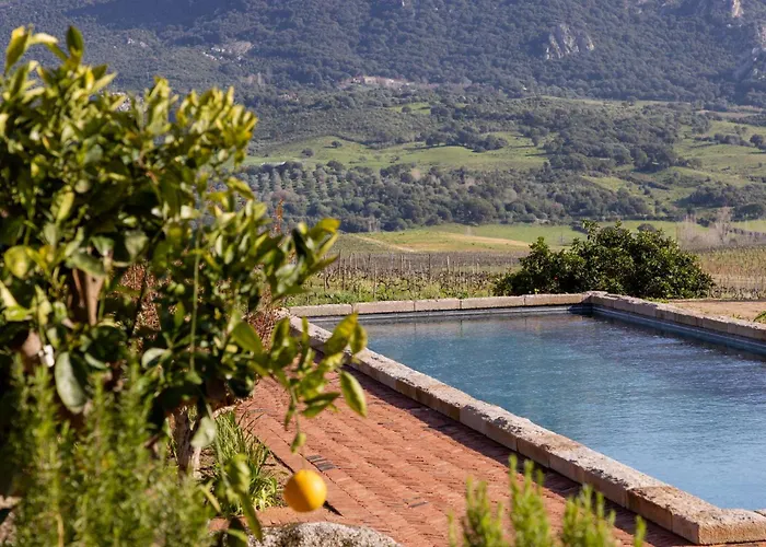 Le Hameau de Saparale