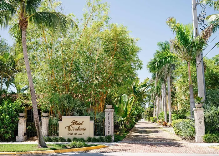 Pets Allowed Hotel Escalante