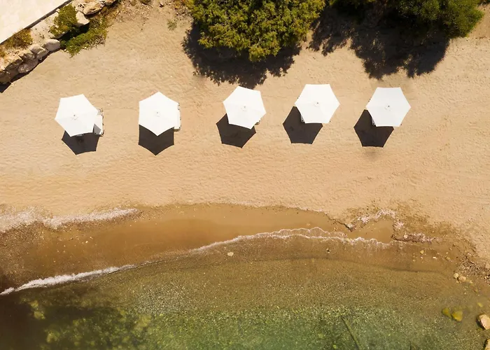 Trip to College Coral Beach & Resort Cyprus