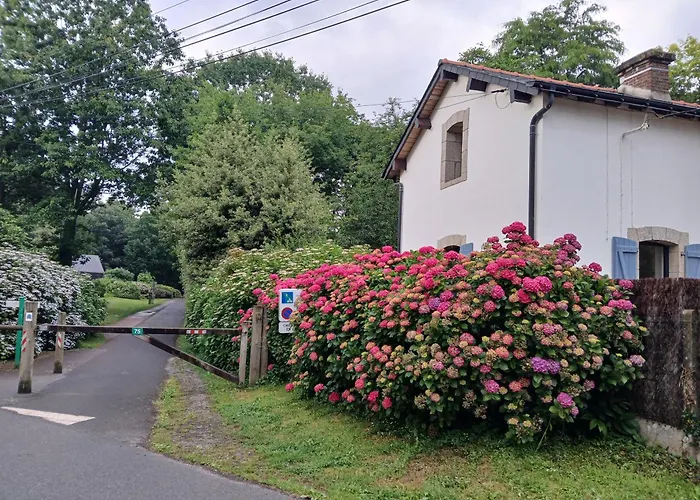 L' Arbre à noisettes
