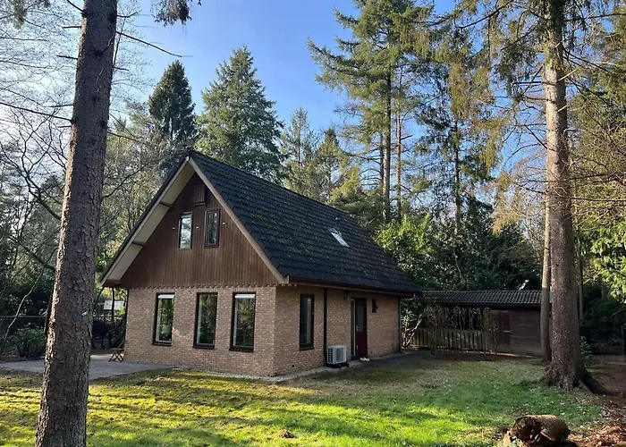 Forest House With Sauna