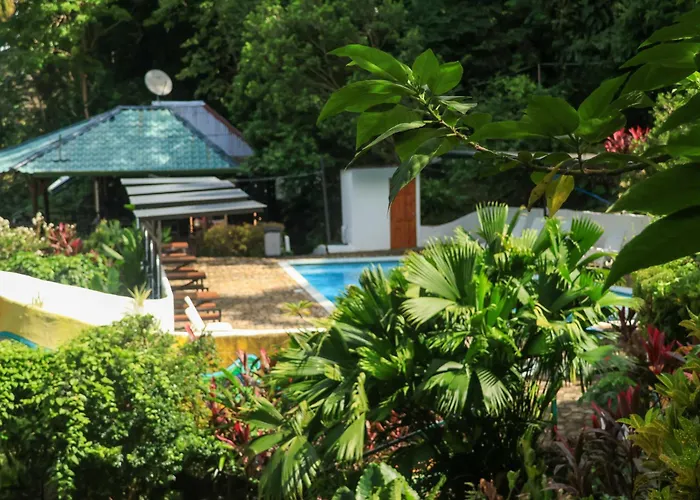 Hostel Plinio