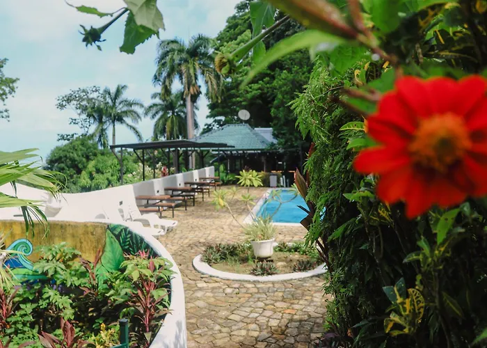 Hostel Plinio
