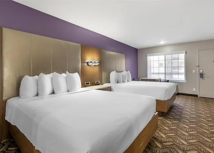 Best Western Airport Plaza Hotel - Lax Airport La Stadium