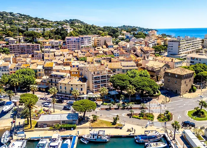 Hotel Les Palmiers
