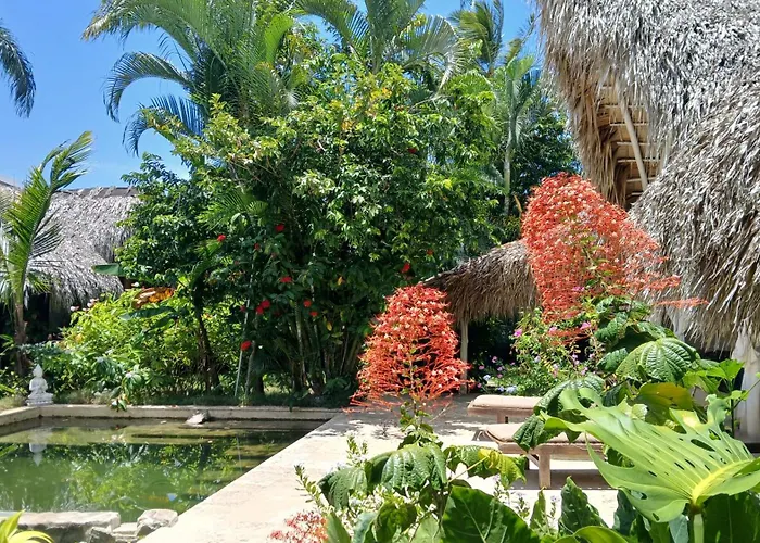 Casa Picaflor B&B