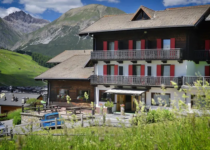 Pet Friendly hotel: Hotel Teola
