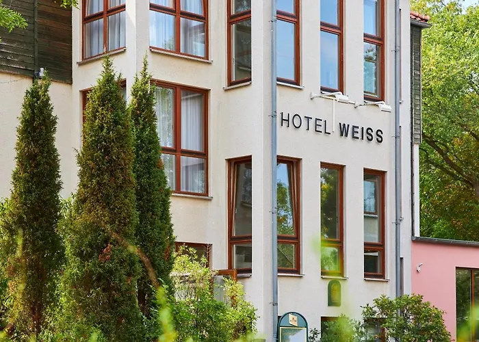 Flair Weiss