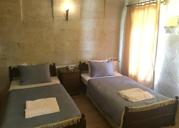 Perros hoteles Village Cave