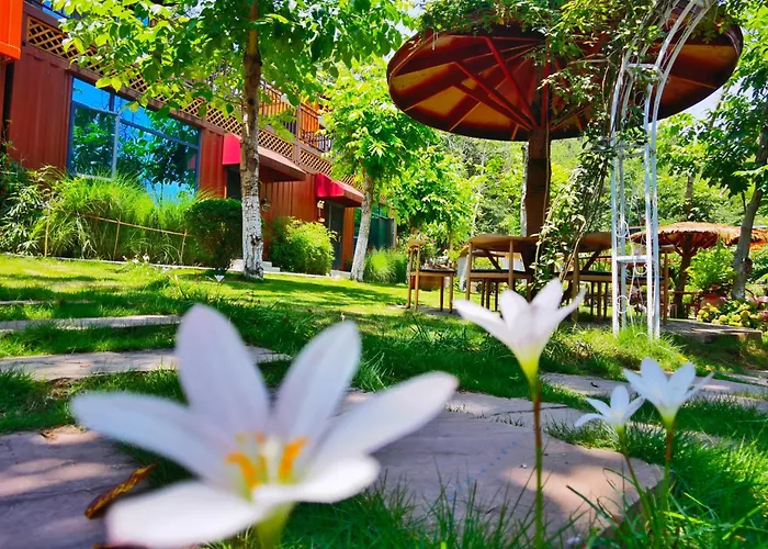 逸园设计师网红酒店 天府机场店