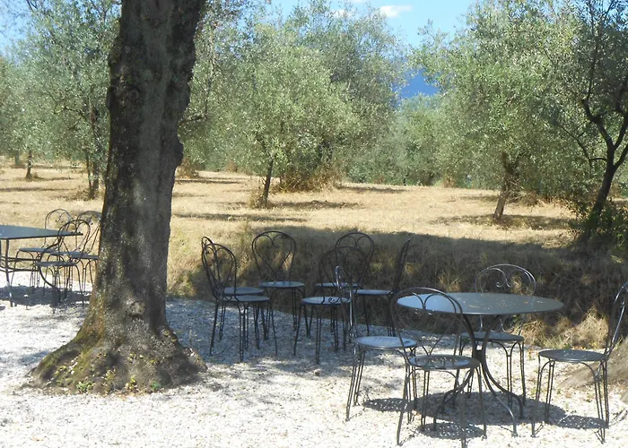 Casa Vacanze Amedea Tuscany Country Experience