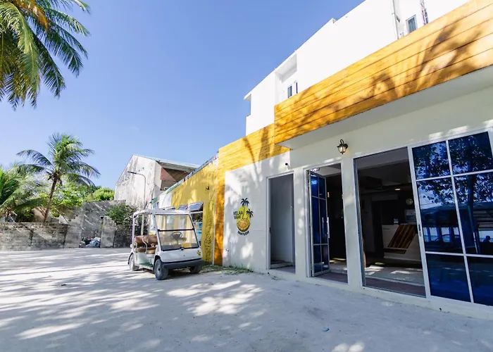 Velaavani - Turtle Hive Dhiffushi