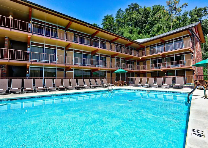 Wild Bear Inn