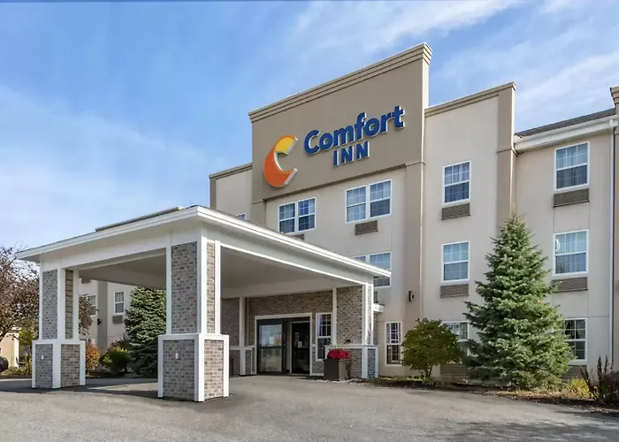 Comfort Augusta