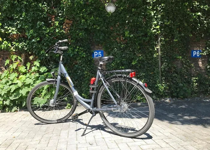 Conti Duisburg - Partner Of Sorat s