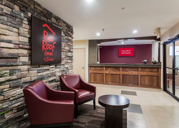 Red Roof Inn Conroe North - Willis