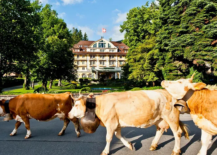 Animaux admis Le Grand Bellevue