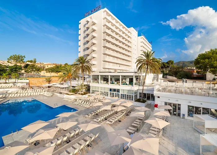 Globales Mimosa