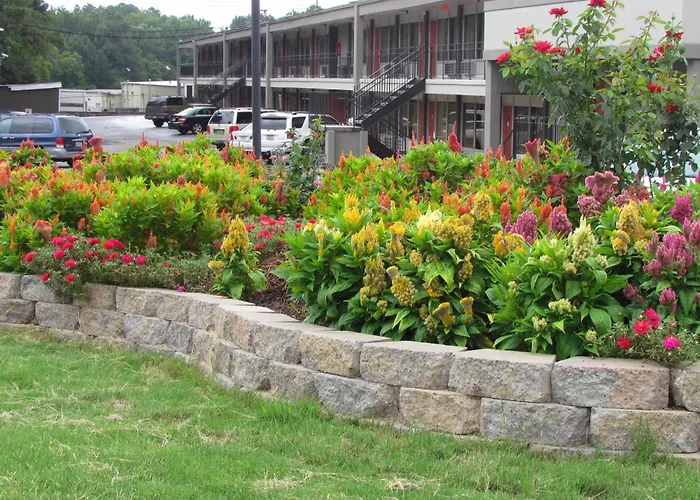 Red Carpet Inn - Augusta