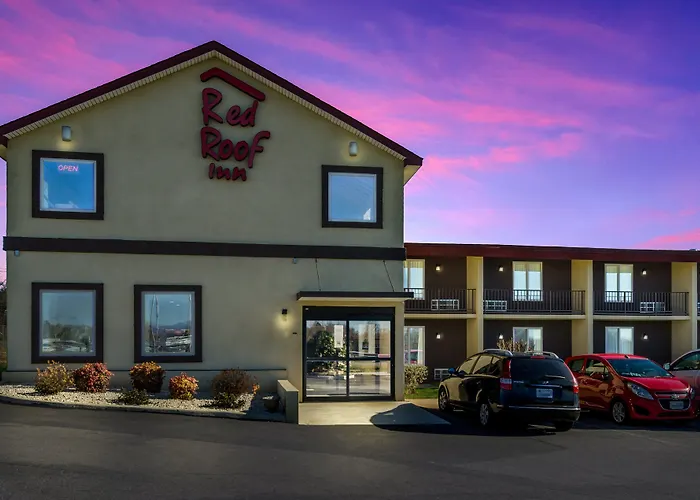 Motel: Red Roof Inn Madison Heights, Va