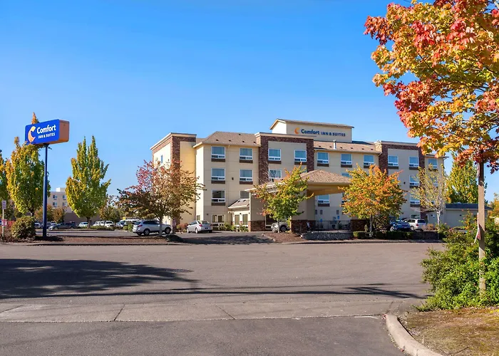 Resort: Comfort Inn & Suites Salem Northeast