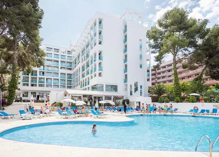 Hotel que admite mascotas: Hotel Best Mediterraneo