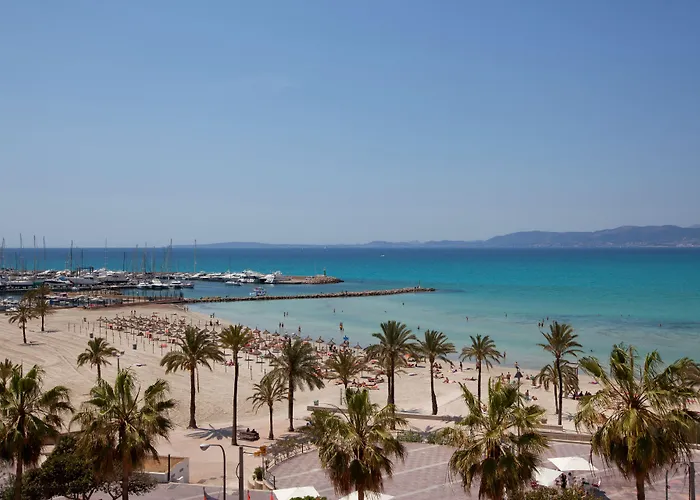 Hotel cerca del aeropuerto: Whala!Beach