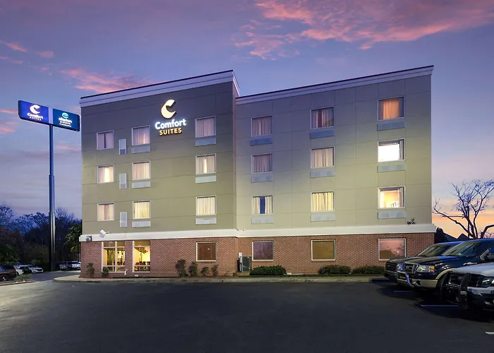 Hotel with view: Comfort Suites Forsyth Near I-75