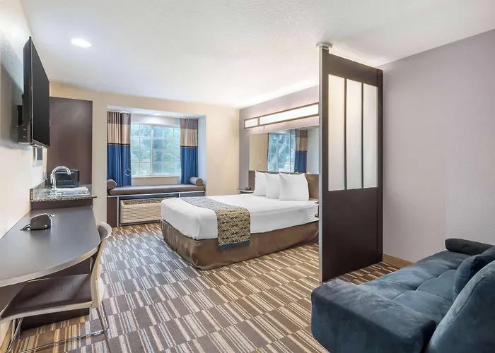 Microtel Inn & Suites By Wyndham Brooksville