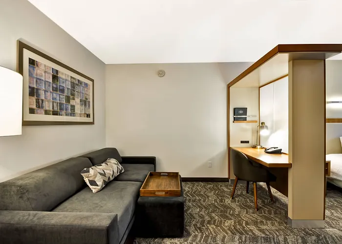 Springhill Suites Tallahassee Central