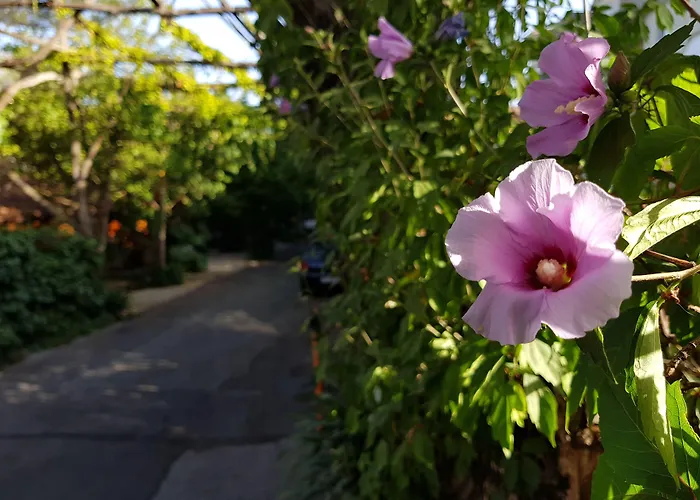 Residence Villaggio Verde