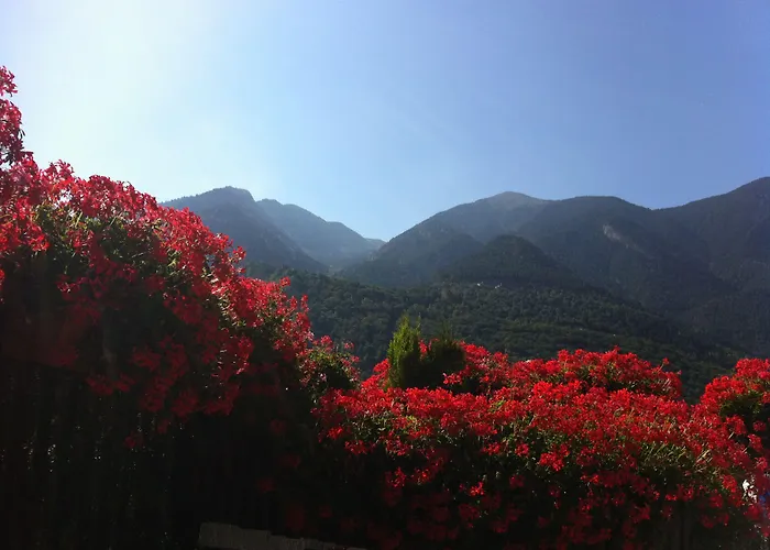 Hotel Pyrénées