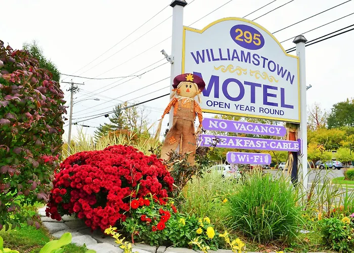 Pets Allowed Hotel Williamstown