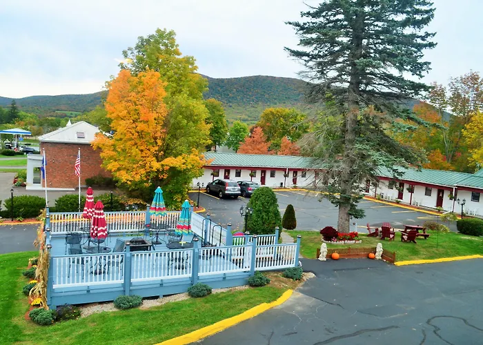 Pets Allowed Hotel Williamstown