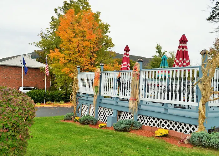 Pets Allowed Hotel Williamstown