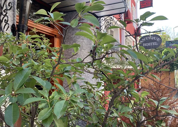 Hostel: Antique Hostel