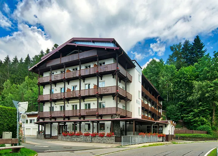 Natur- Und Wanderhotel Am Steinbachtal