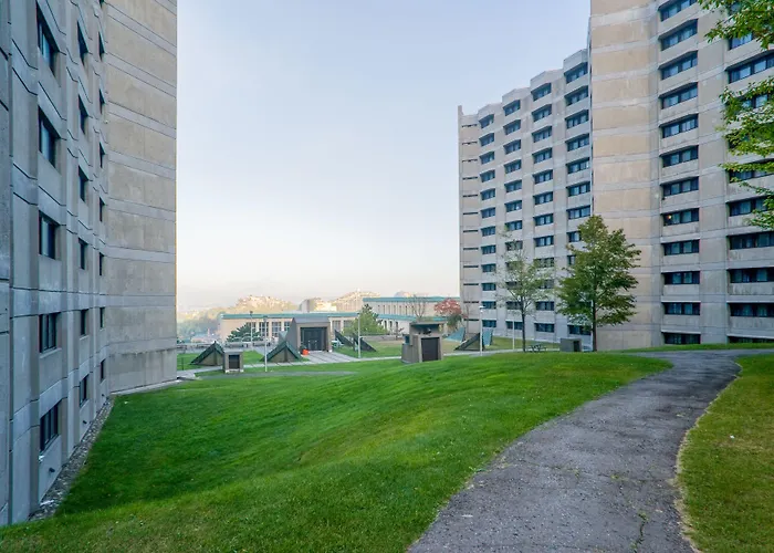 ZUM MTL Auberge D'été - Université De