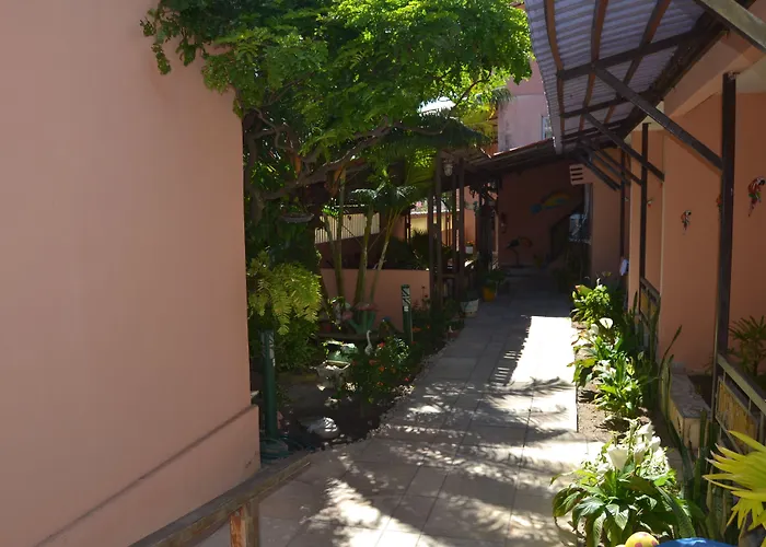  Porto Tropical Pousada