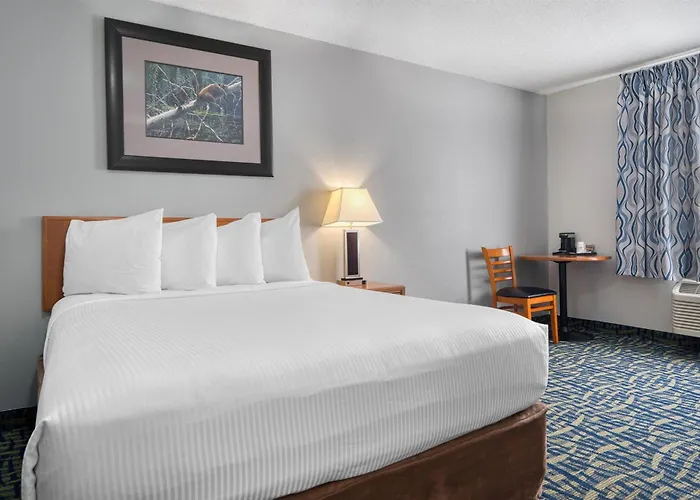 Surestay Plus By Best Western