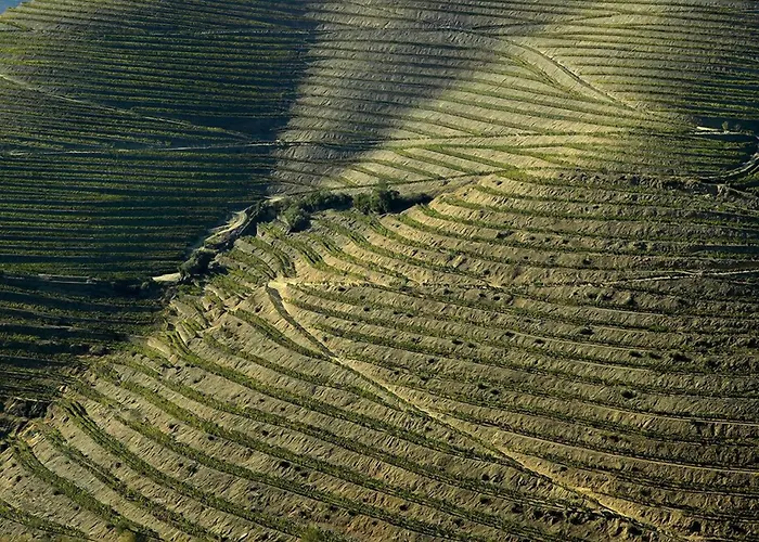 Quinta De La Rosa